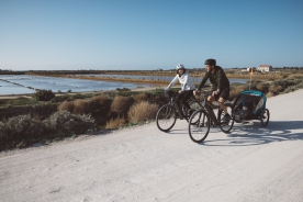 DECATHLON-RIVERSIDE-Image-E-Bike-Cross-Bike-28-Zoll-Riverside-500E-7-Expires-on-17-02-2026